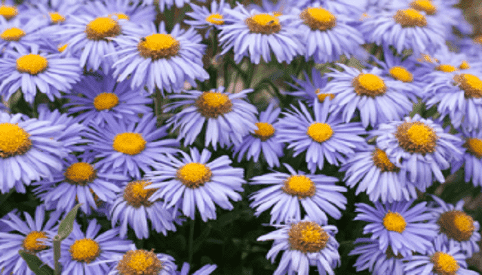 ���ҵĹ�Ч������ ���ҵ�������ʲô